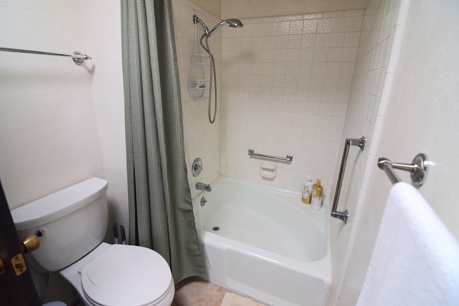Full Guest Bathroom Featuring a Convenient Walk-In Tub