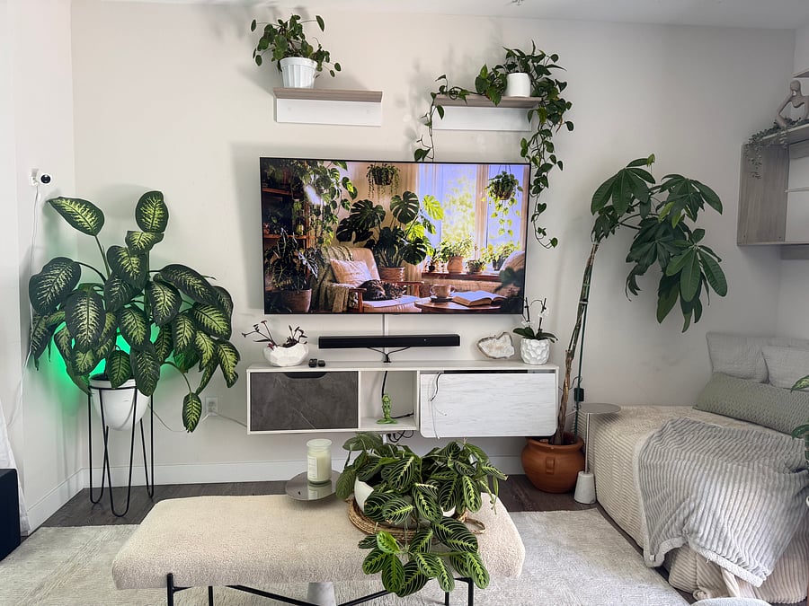 Furnished Finder property 1014213_1 photo 15