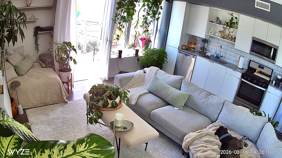 Furnished Finder property 1014213_1 photo 40