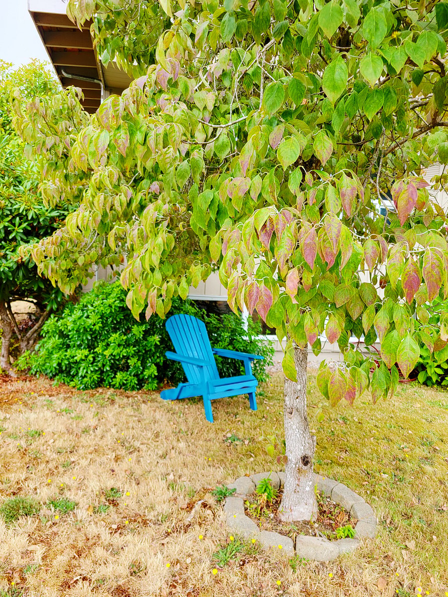 Furnished Finder property 1014340_1 photo 13