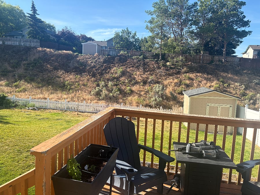 Furnished Finder property 1014441_1 photo 3