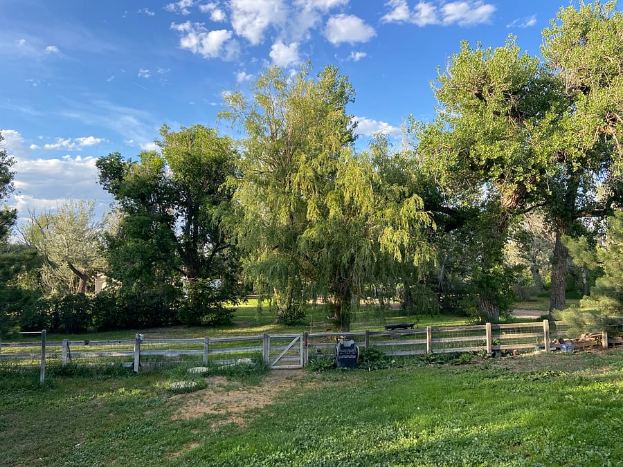 Backyard views from the deck