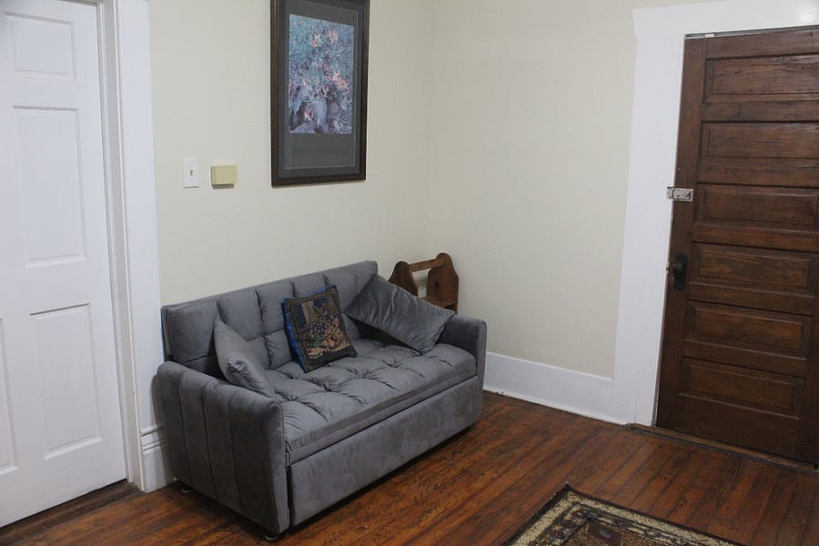 Living room has a pull out couch.