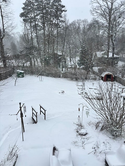 Backyard winter wonderland.