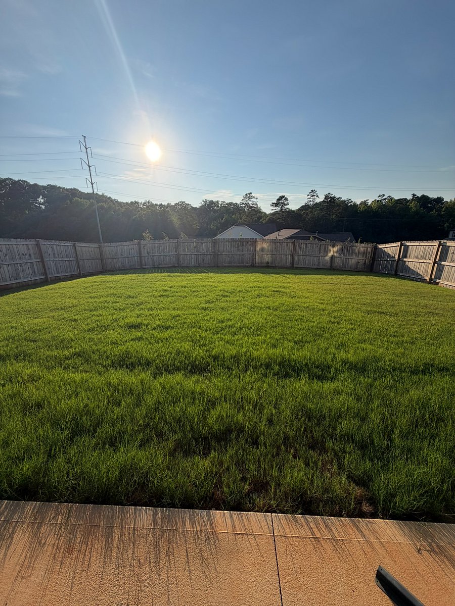 Fenced-In Backyard