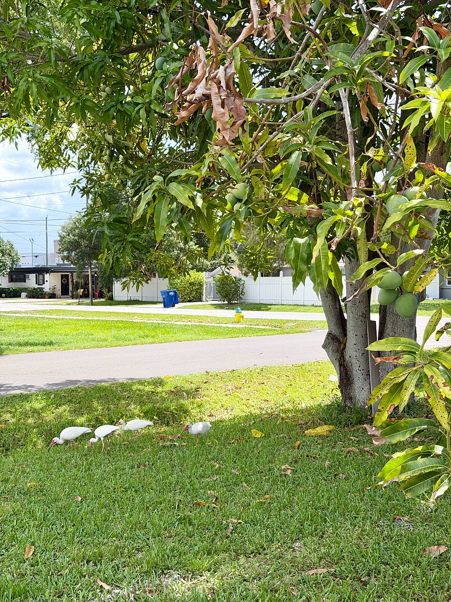 Furnished Finder property 1014559_1 photo 17