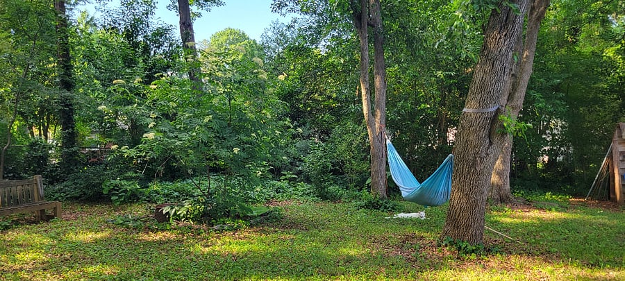 The backyard is a peaceful place to relax.