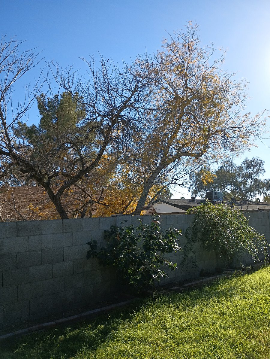 Furnished Finder property 1014647_1 photo 11