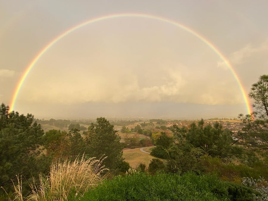 Catching rainbows is often possible during raining season