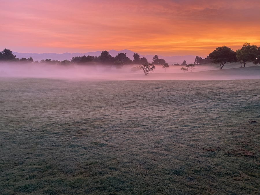 Sunrise in the morning mist