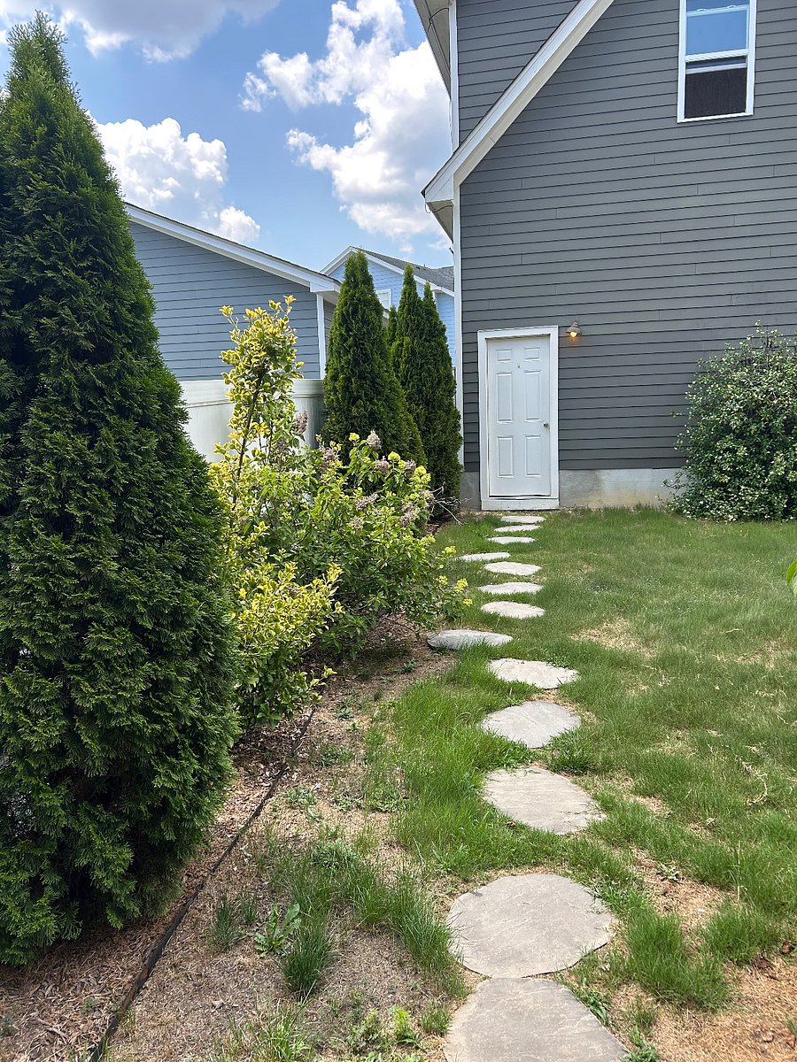 Back yard and garage