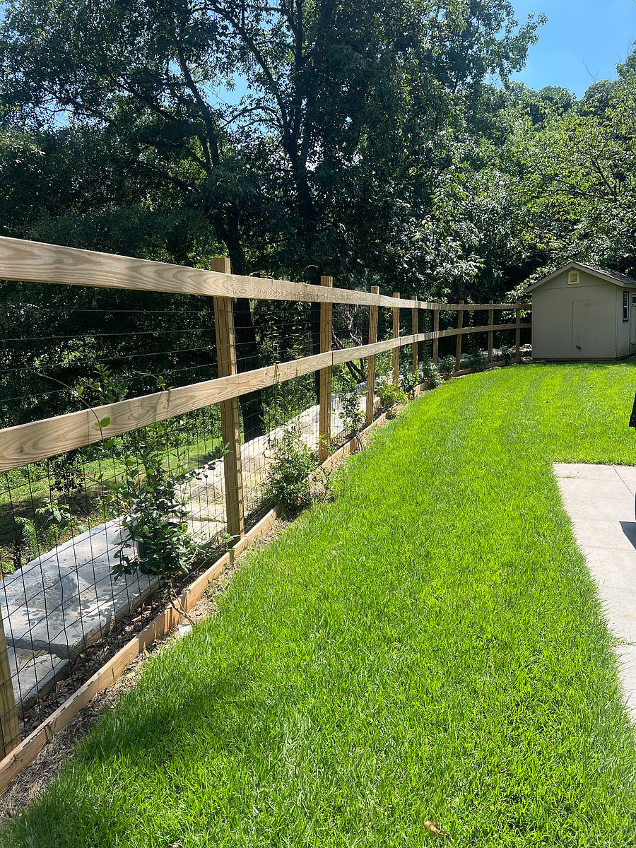 Side yard