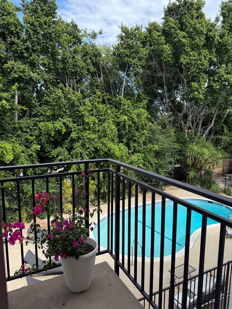 Furnished Finder property 1014880_1 photo 13