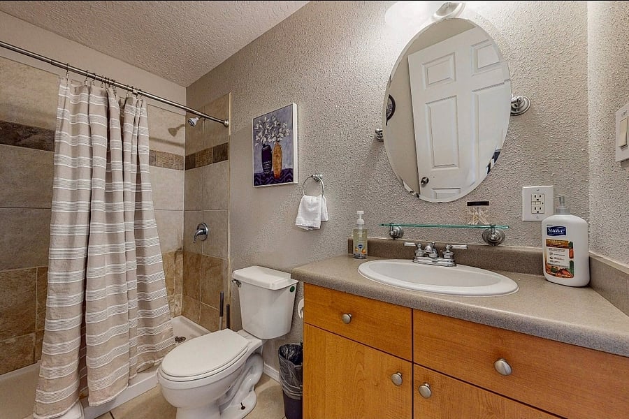 modern bath with walk in shower