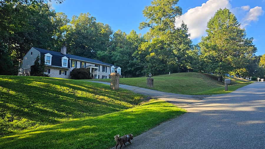 Furnished Finder property 1014972_1 photo 29