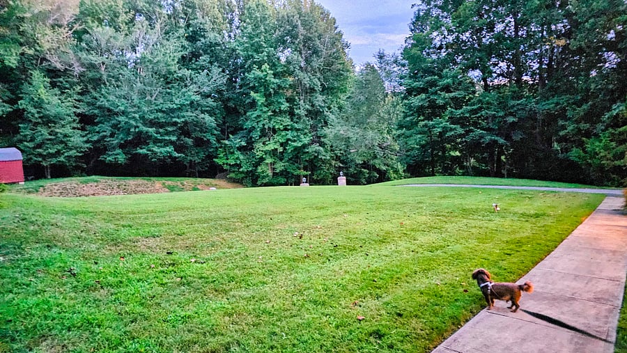 Furnished Finder property 1014972_1 photo 51
