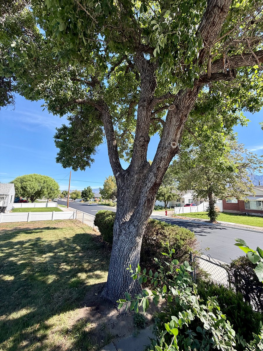 Furnished Finder property 1015091_1 photo 15