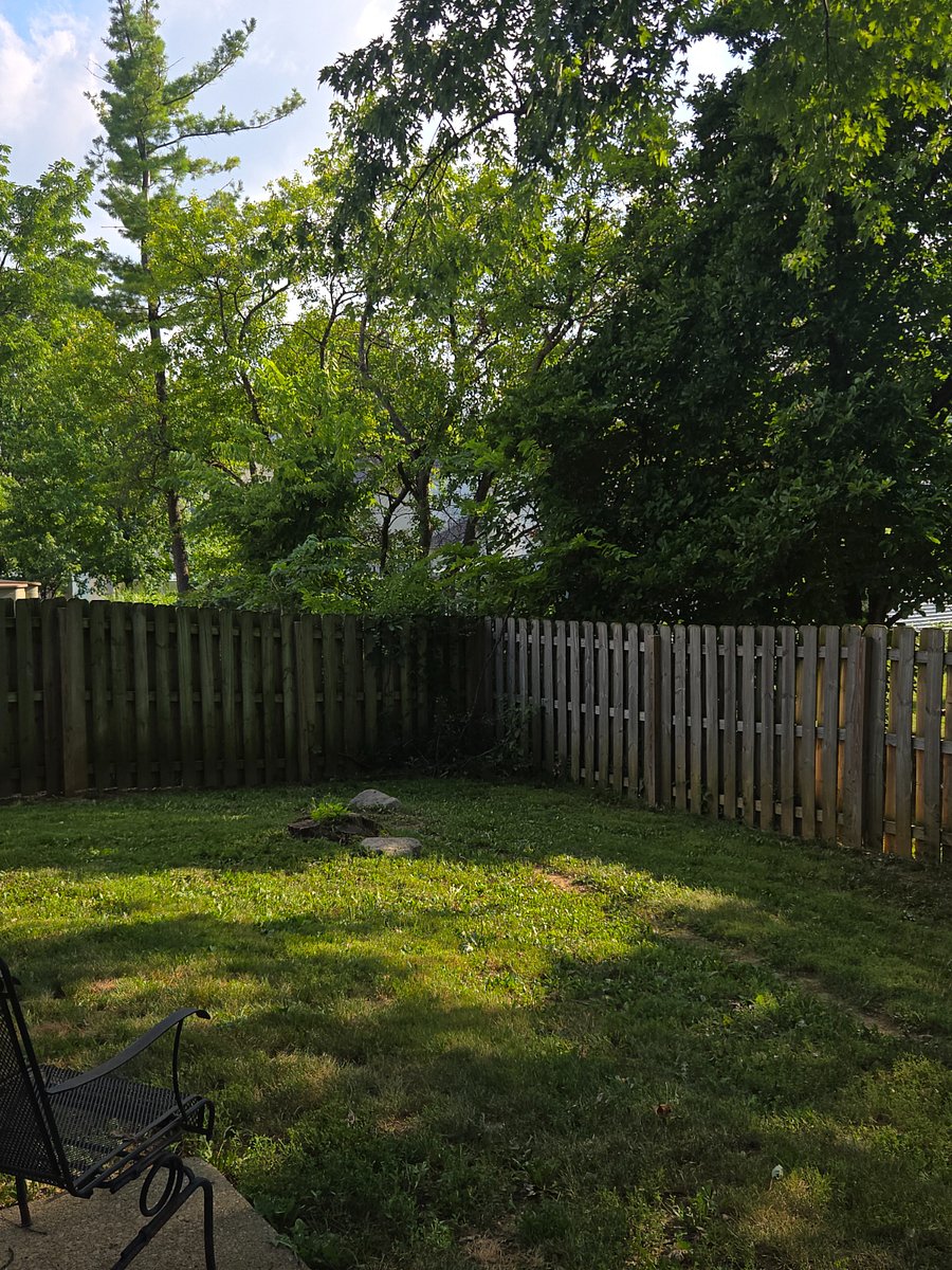 Furnished Finder property 1015103_1 photo 15