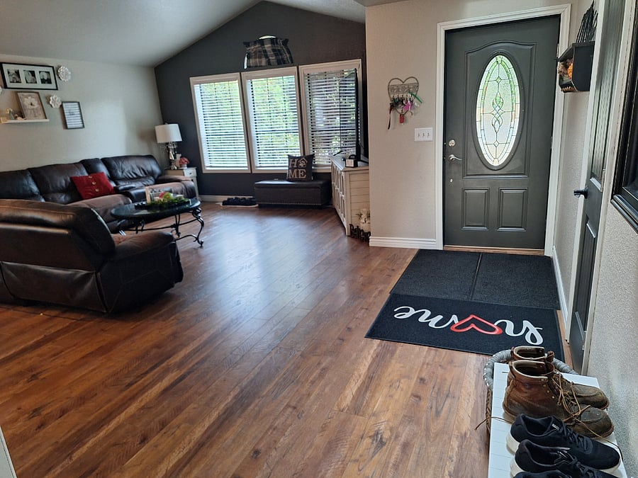 Entry and Living room