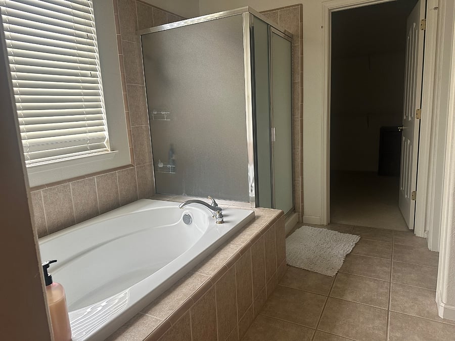 Master shower and tub