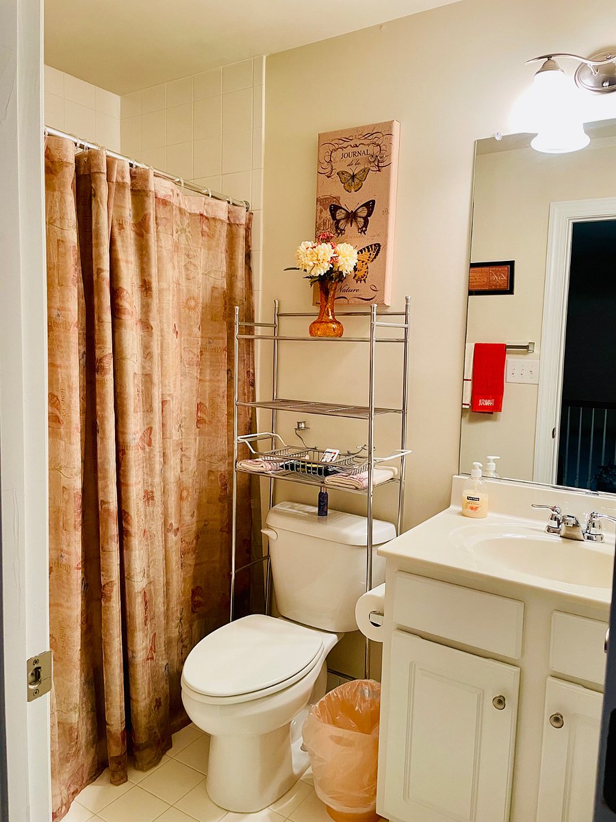 Furnished Finder property 1015202_1 photo 6