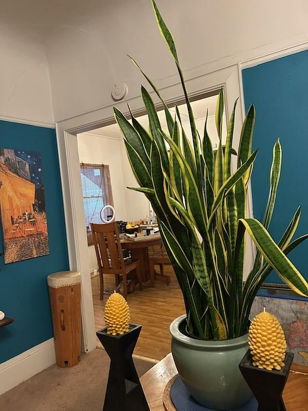 Furnished Finder property 1015210_1 photo 7