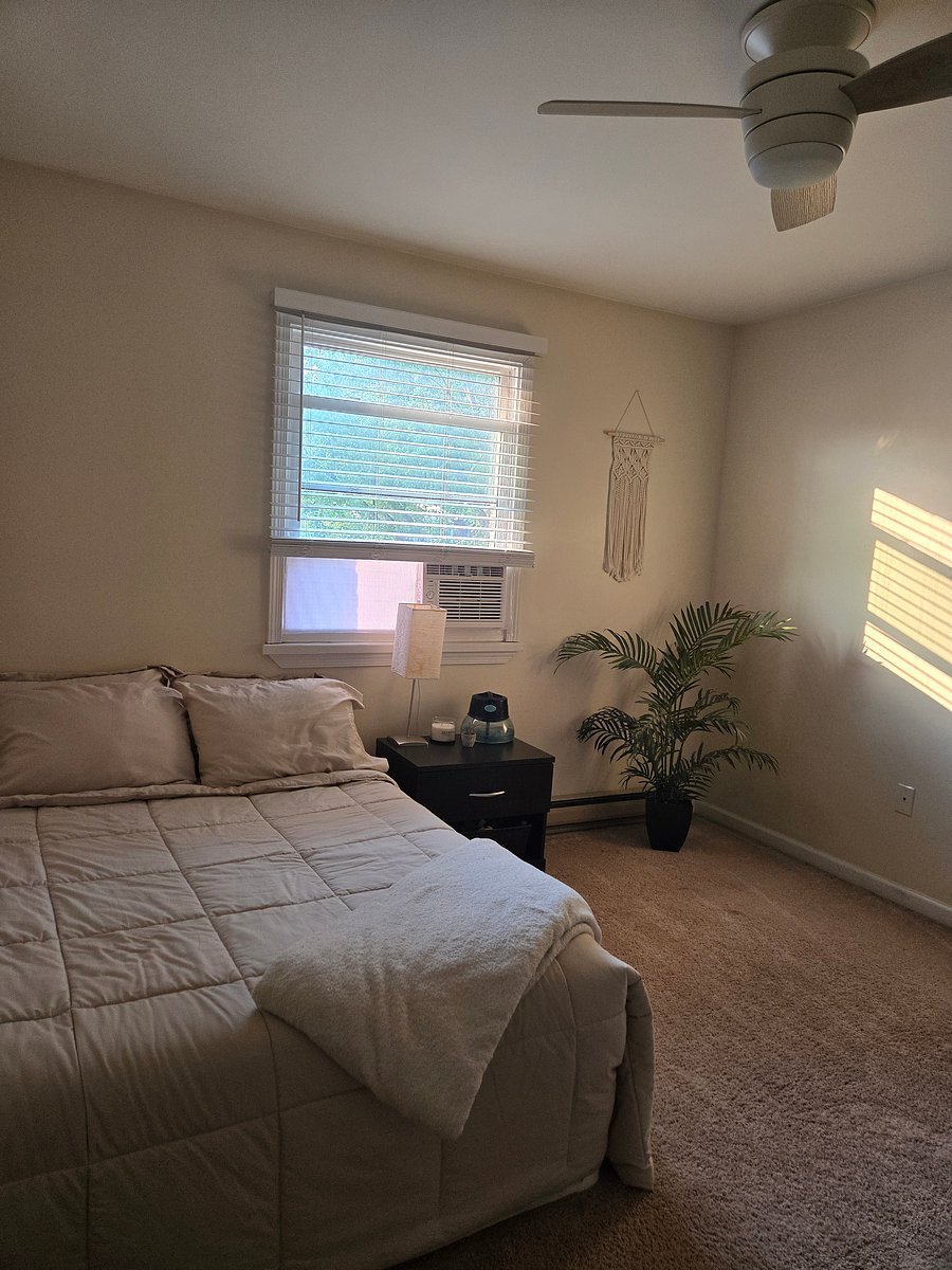 Furnished Finder property 1015220_1 photo 8