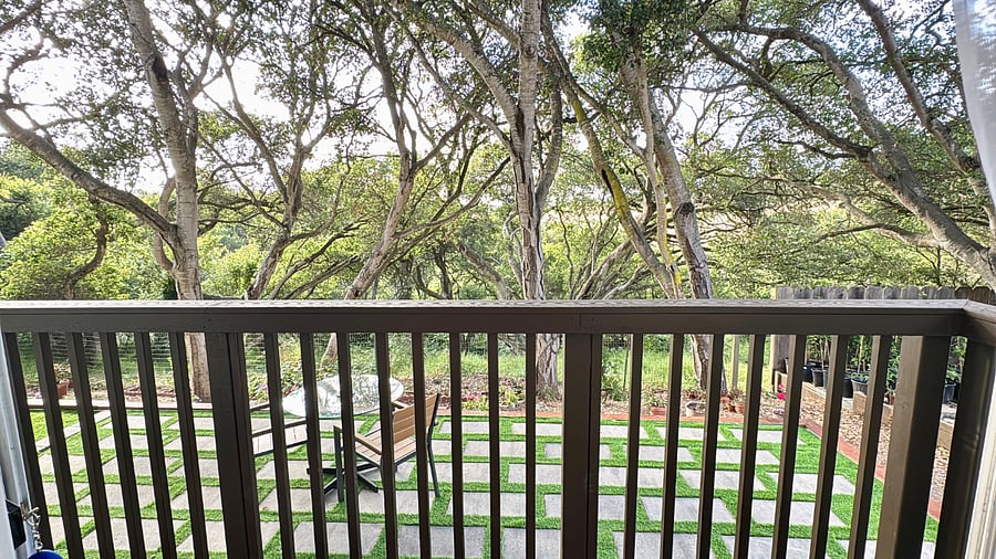 Back yard