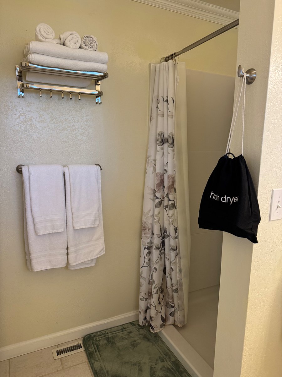 shower with towels and hair dryer