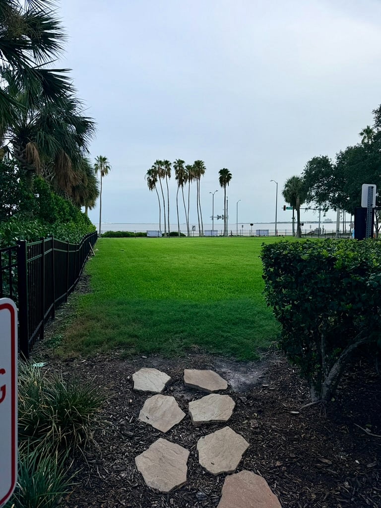 Fenced-in front yard with water view and swing.