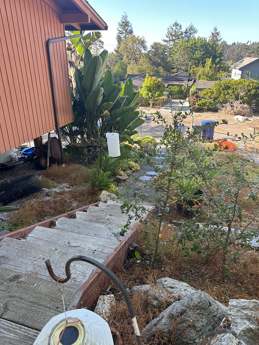 West side of house with stairs down to front 