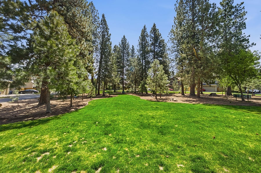 Furnished Finder property 1015289_1 photo 17