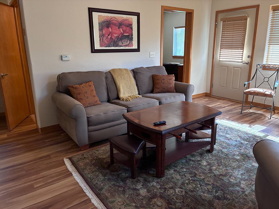 Living room with full-sized sofa.