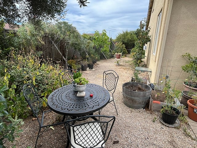 Garden dining area 
