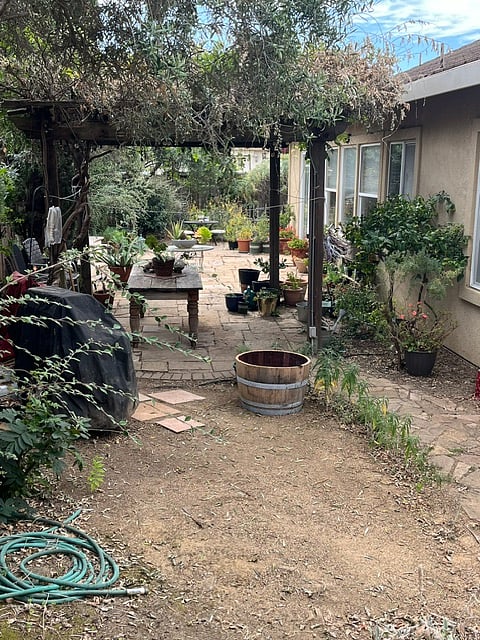 Backyard garden (with arbor, fruit trees, tomato vines, apple trees, cypress trees, olive trees, etc.) 