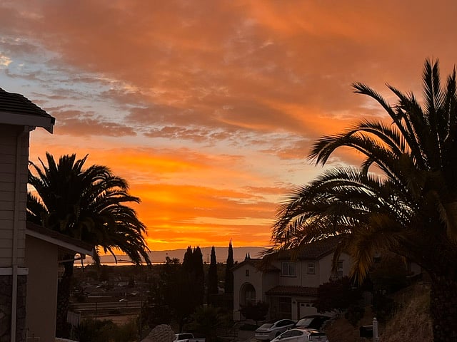 Backyard sunset views 