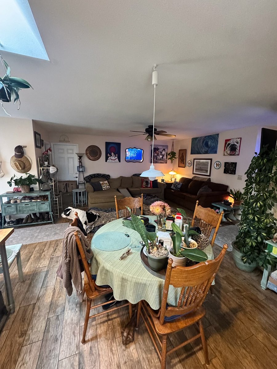 Furnished Finder property 1015369_1 photo 3