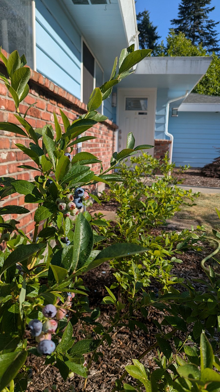 Furnished Finder property 1015404_1 photo 23