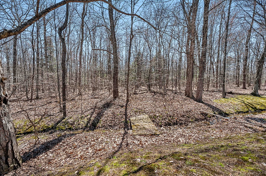 Private walking, hiking & biking trails behind the house
