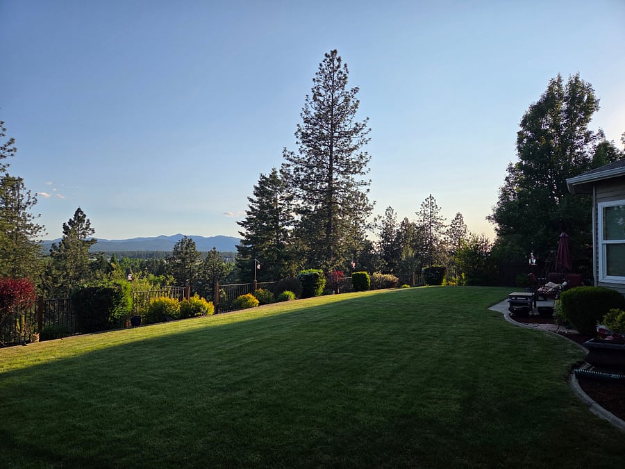 Space to play in this private backyard.