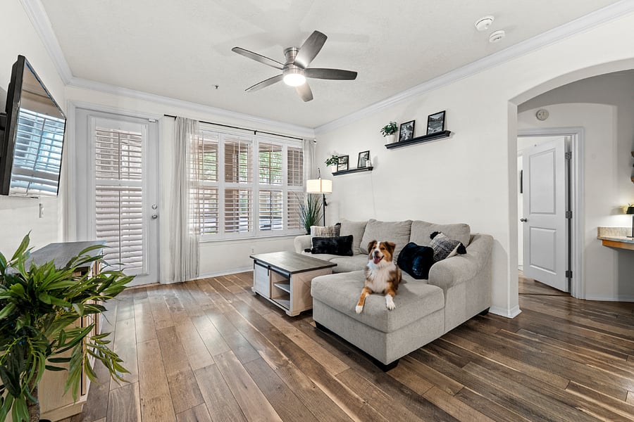 Furnished Finder property 1015581_1 photo 3