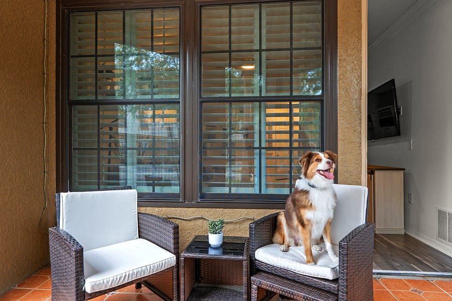 Furnished Finder property 1015581_1 photo 2