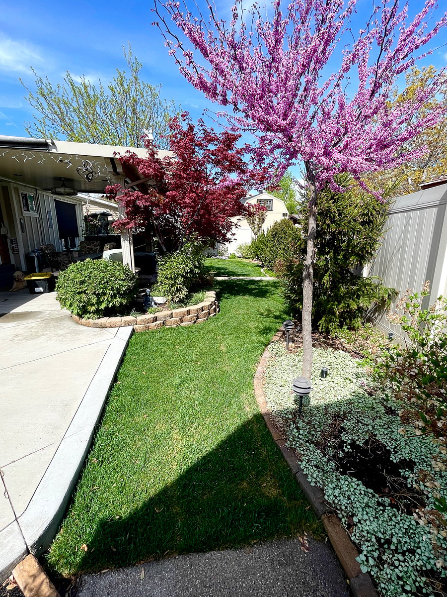 Furnished Finder property 1015601_1 photo 12