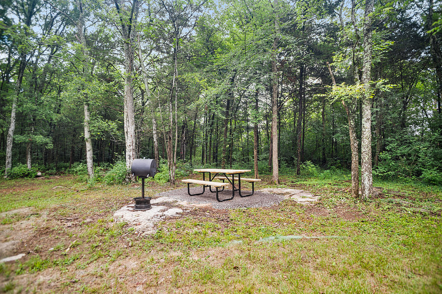 charcoal grill and picnic table