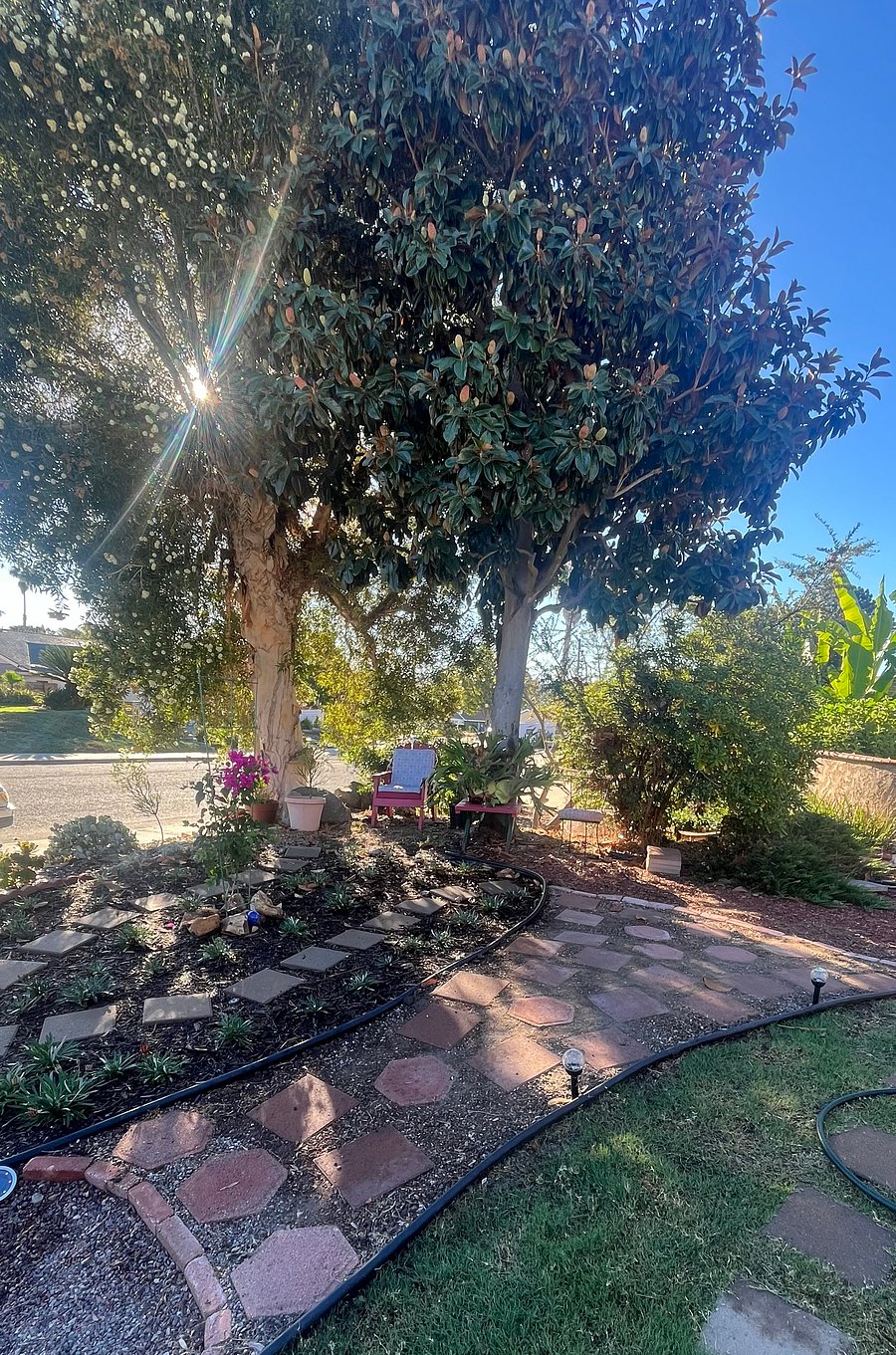 Furnished Finder property 1015620_1 photo 11