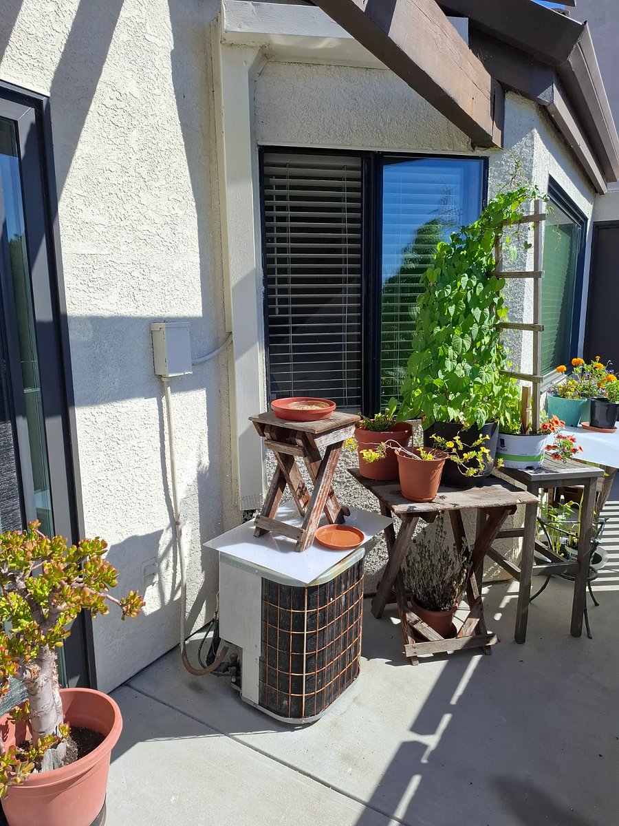 Furnished Finder property 1015633_1 photo 12
