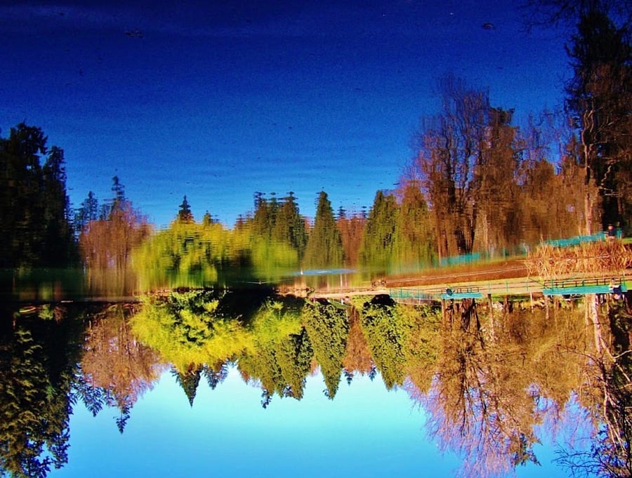 Beautiful Laurelhurst Park.
