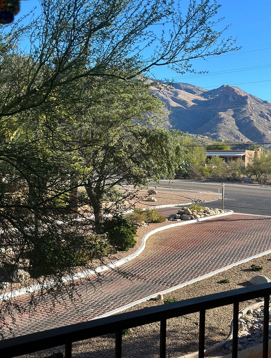 Furnished Finder property 1015658_1 photo 19