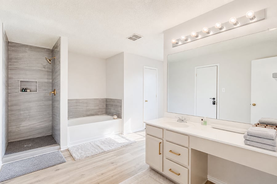 Master bathroom view
