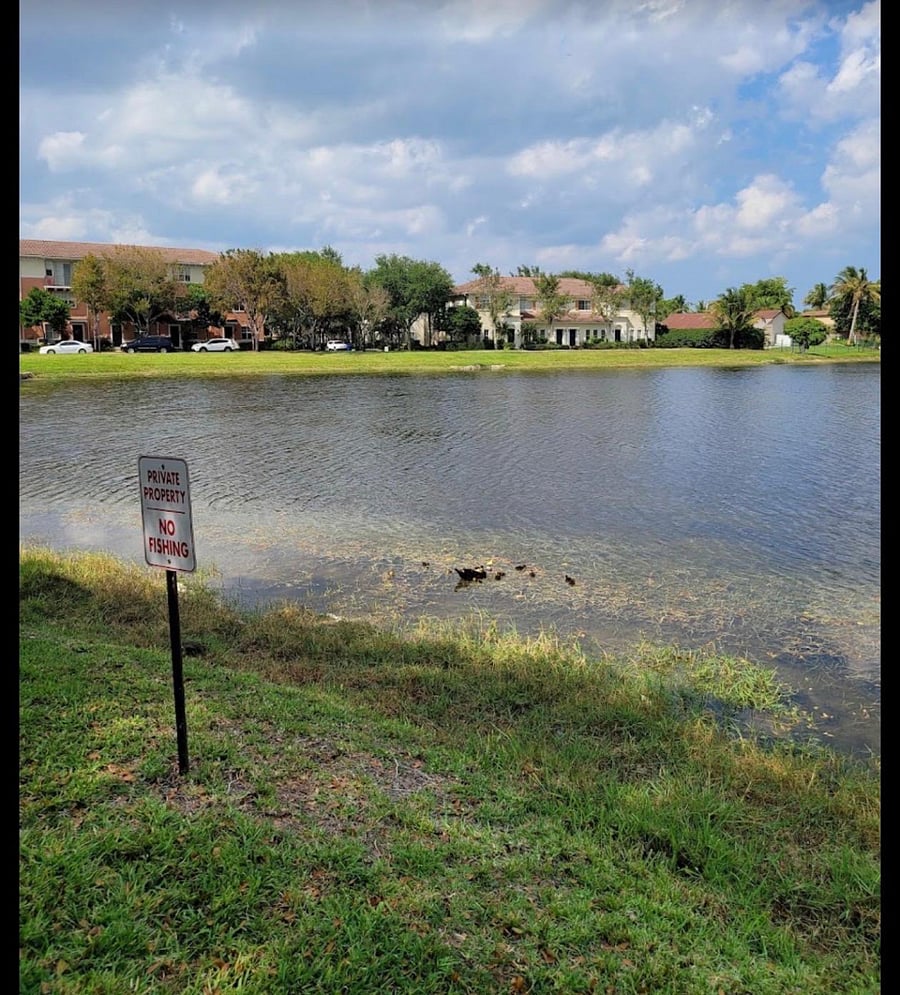 Furnished Finder property 1015726_1 photo 10